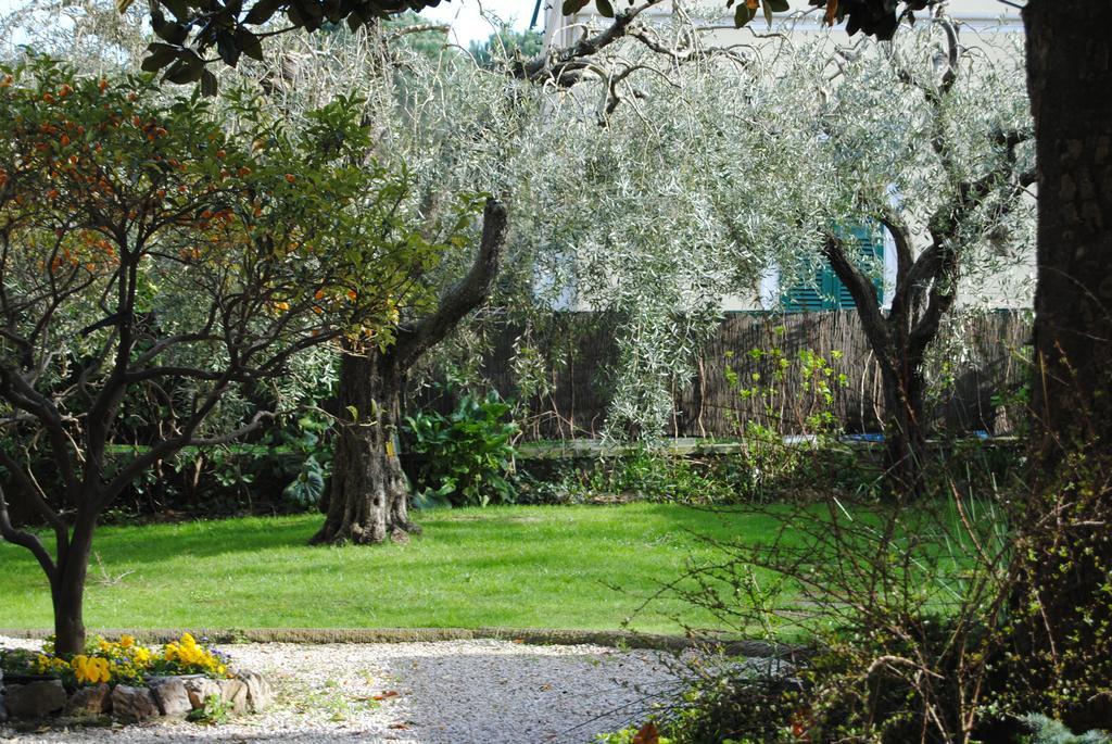 Casa Simonetti Bed and Breakfast Torre del Lago Puccini Εξωτερικό φωτογραφία